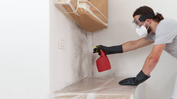 Professional Bathroom Mold Removal technician working in Point Pleasant Beach, NJ
